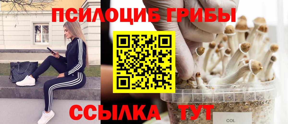 Галлюциногенные грибы Magic Shrooms  Вход с VPN  Новороссийск 