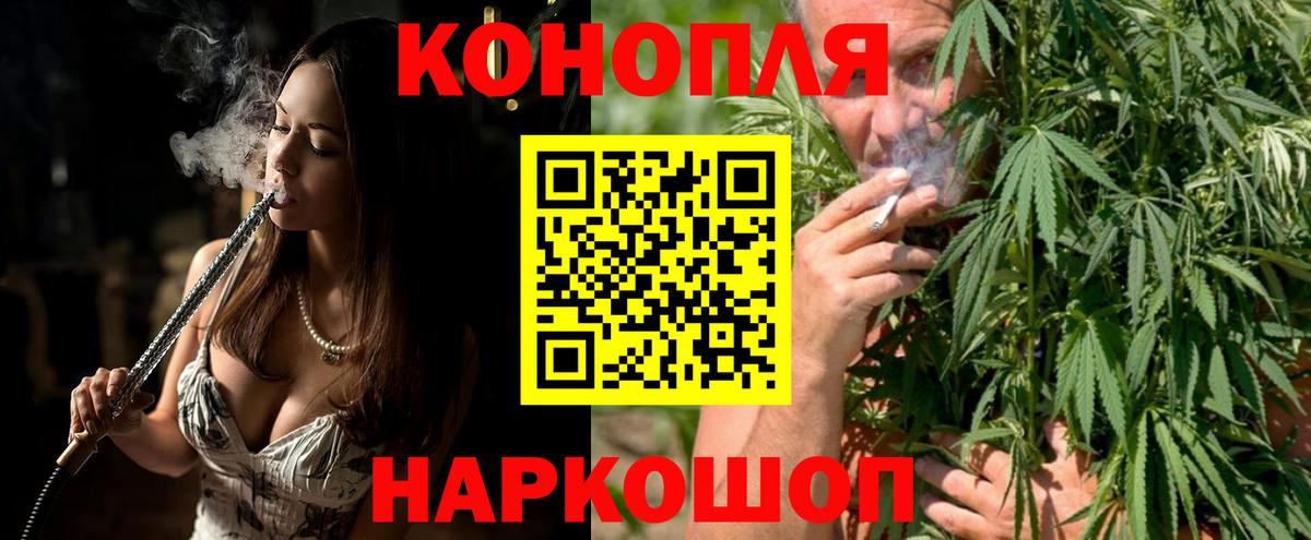 Конопля планчик Новороссийск